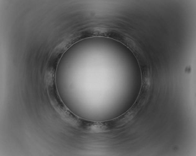 X0000115640468200911101520
