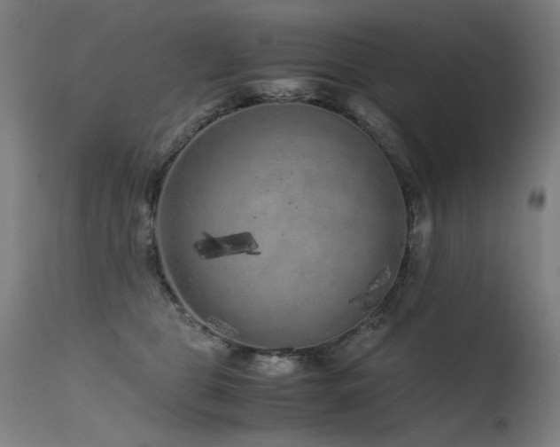 X0000115640469200911101520