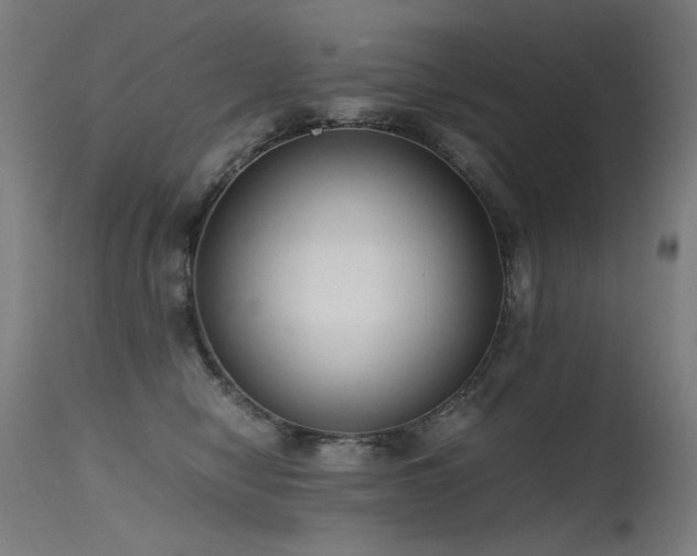 X0000115640470200911101520