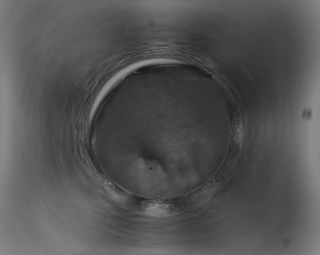 X0000115640471200911101520