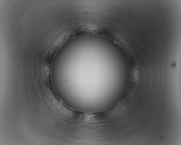 X0000115640472200911101520
