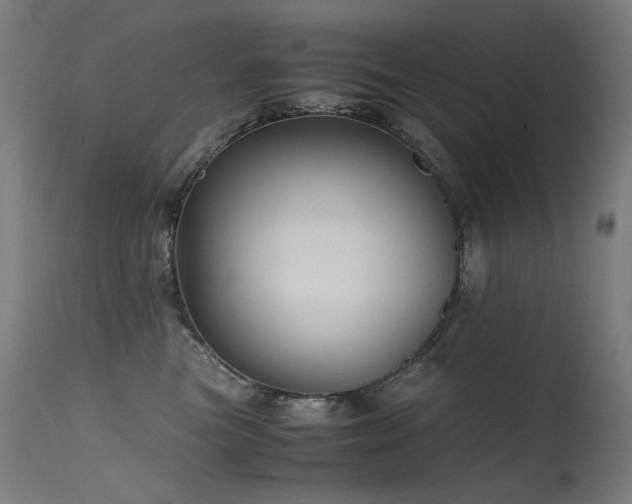 X0000115640473200911101520