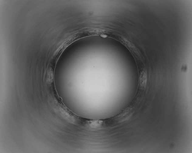 X0000115640474200911101520