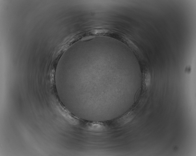 X0000115640475200911101520