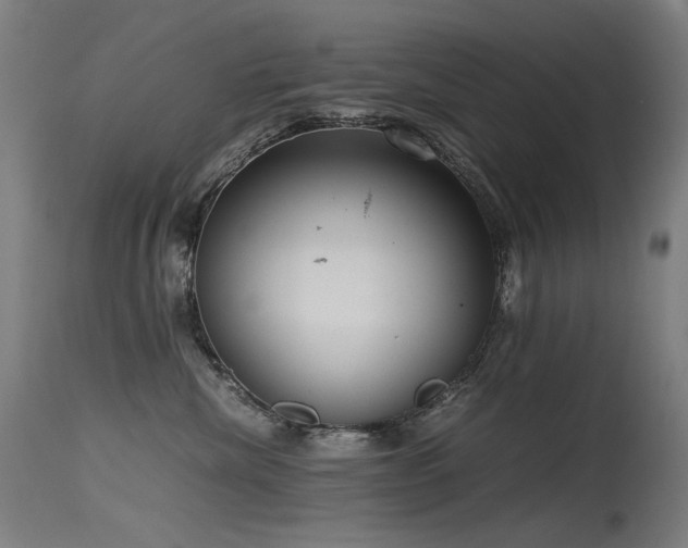 X0000115640476200911101520