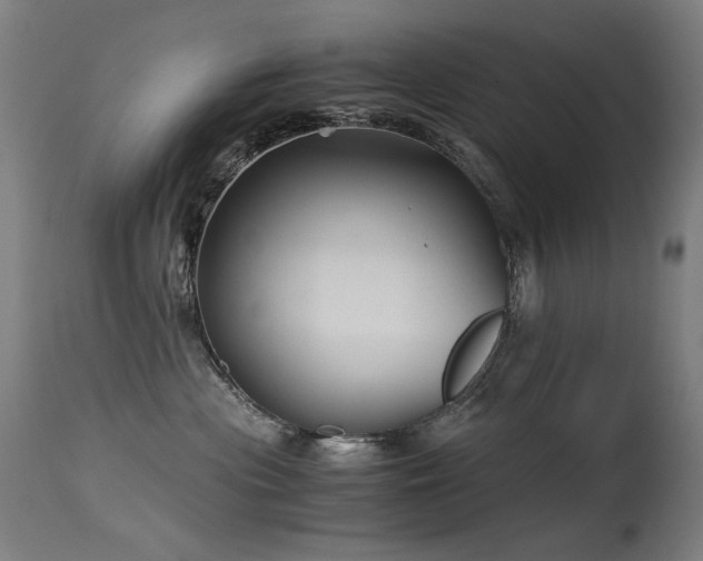 X0000115640477200911101520