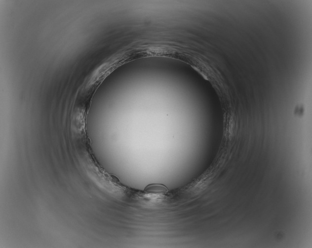X0000115640478200911101520