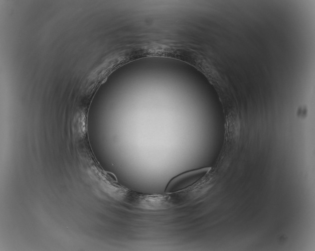 X0000115640479200911101520