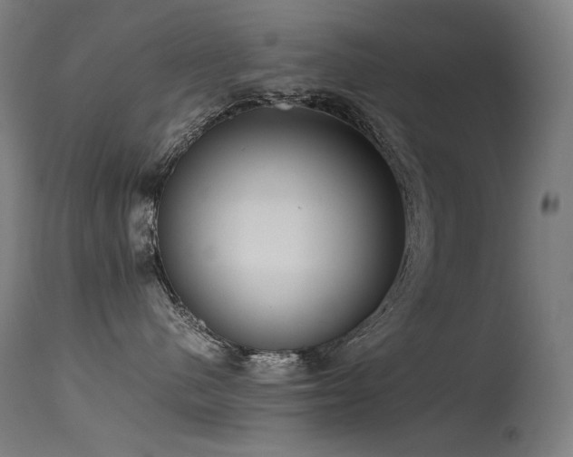 X0000115640480200911101520