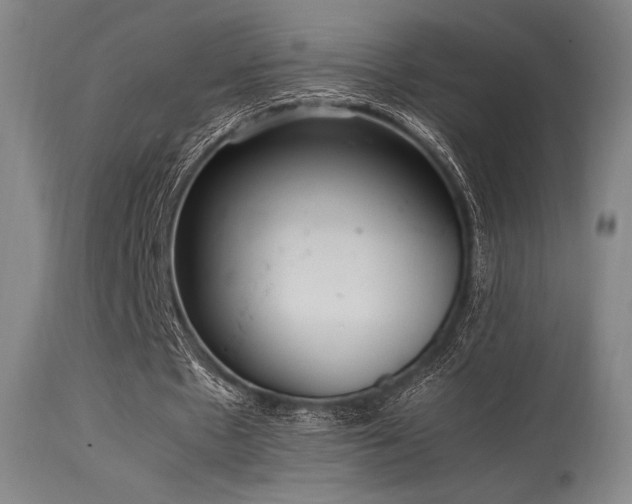 X0000115640481200911101520
