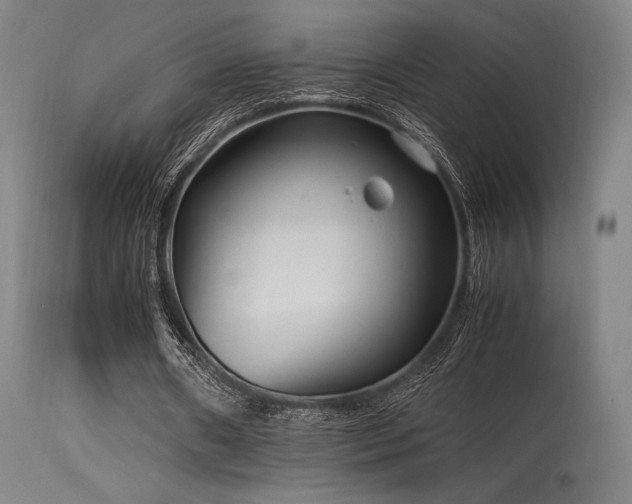 X0000115640482200911101520