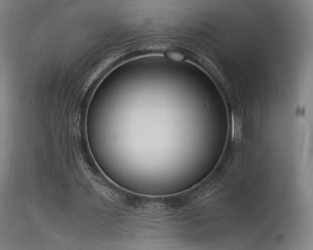 X0000115640483200911101520