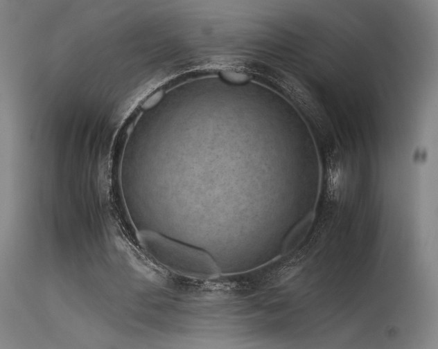 X0000115640484200911101520