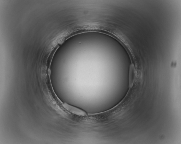 X0000115640485200911101520