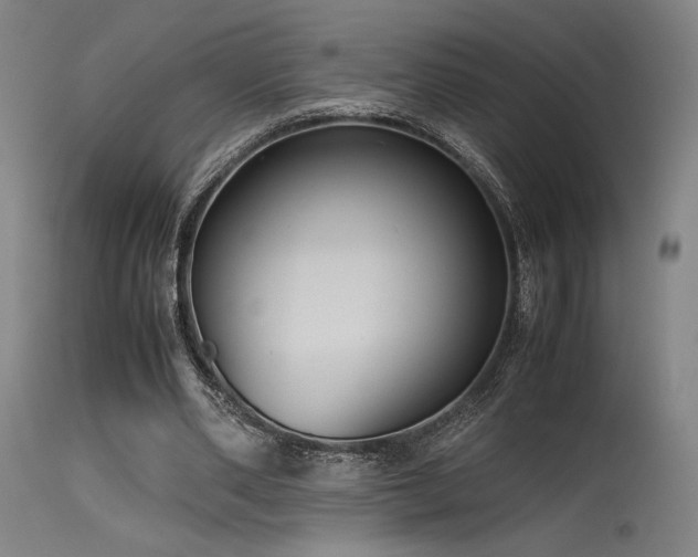 X0000115640486200911101520