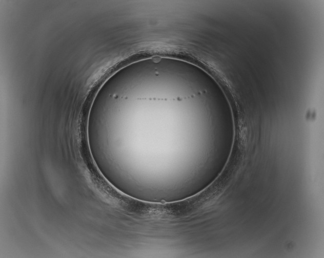 X0000115640487200911101520