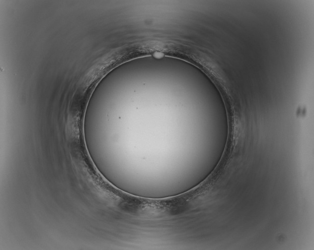 X0000115640489200911101520