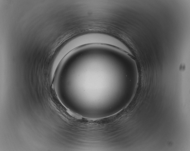 X0000115640490200911101519