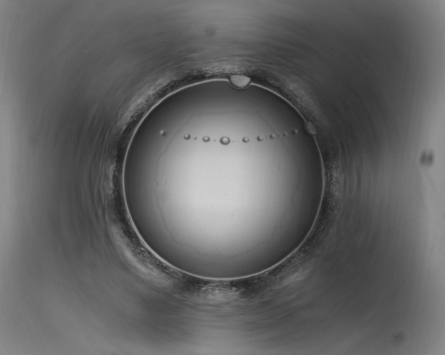X0000115640491200911101519