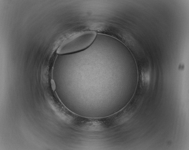 X0000115640492200911101519