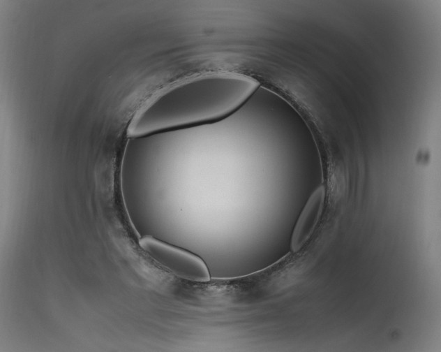 X0000115640493200911101519