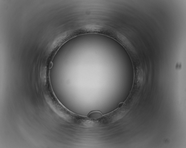 X0000115640494200911101519