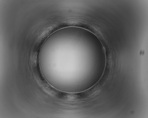 X0000115640495200911101519