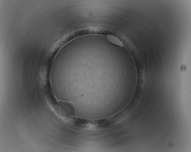 X0000115640496200911101519