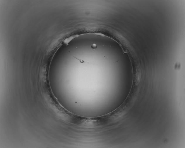 X0000115640497200911101519