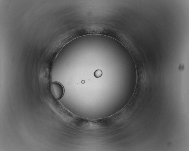 X0000115640498200911101519