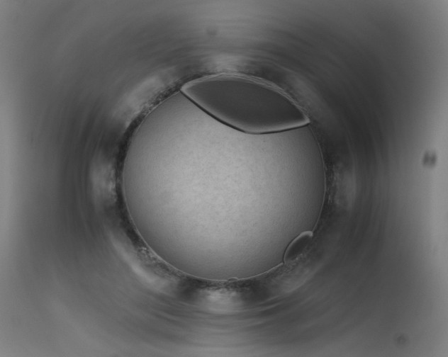 X0000115640500200911101519
