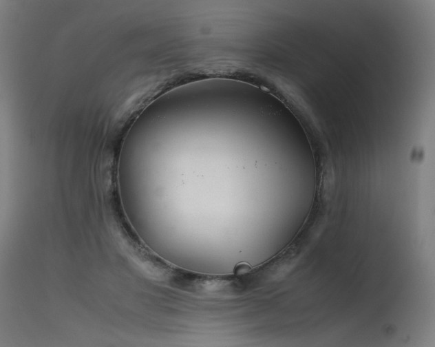 X0000115640501200911101519