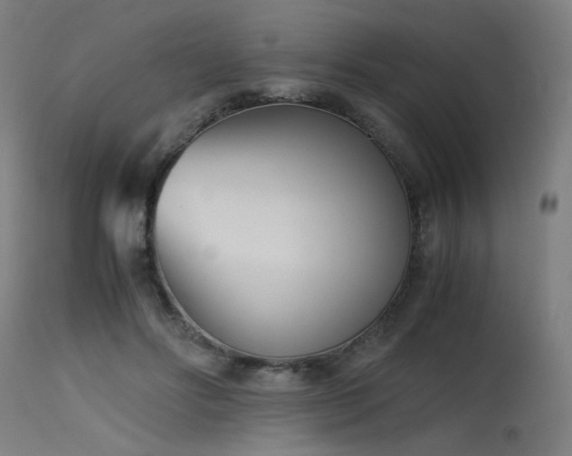 X0000115640502200911101519