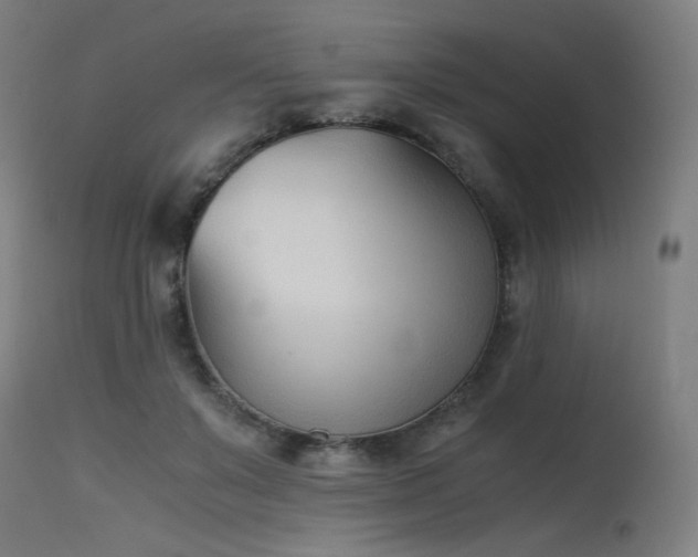 X0000115640503200911101519