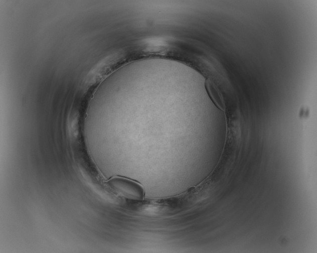 X0000115640504200911101519