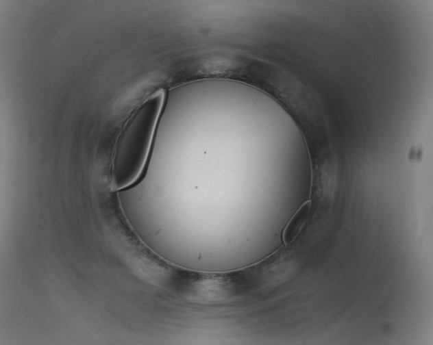 X0000115640505200911101519