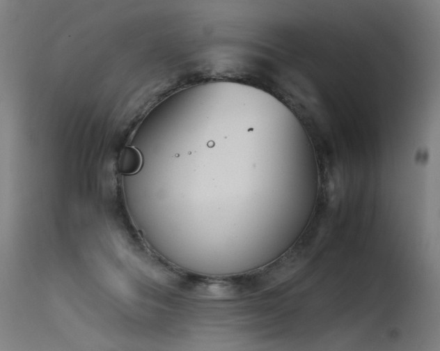 X0000115640506200911101519