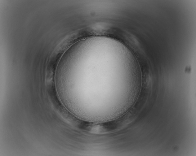 X0000115640507200911101519