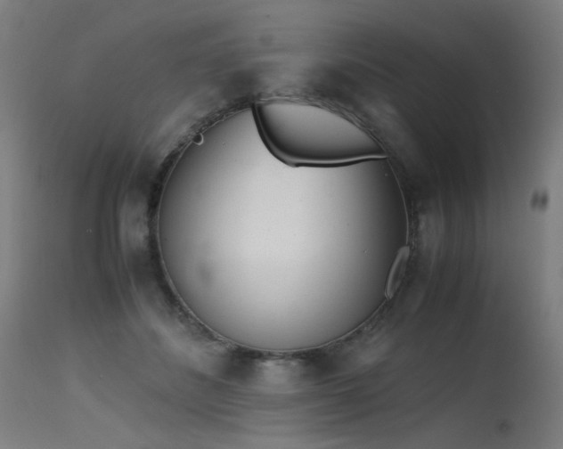 X0000115640508200911101519