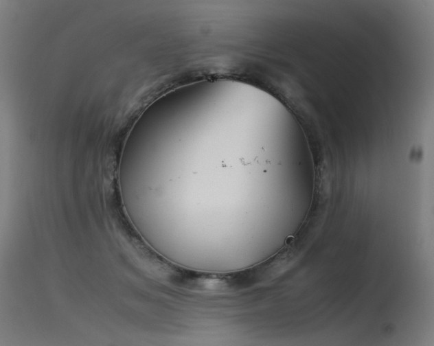 X0000115640509200911101519