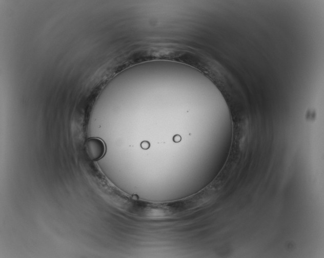X0000115640510200911101519