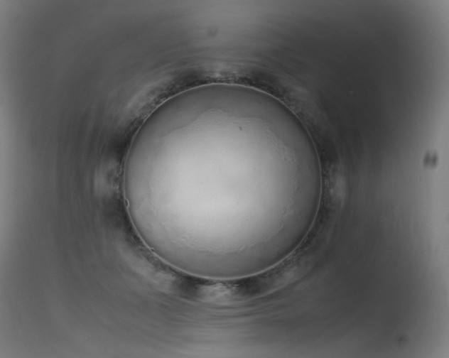 X0000115640511200911101519