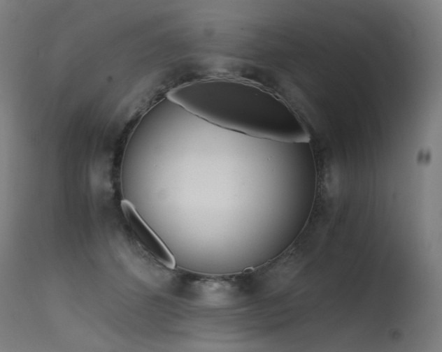 X0000115640512200911101519
