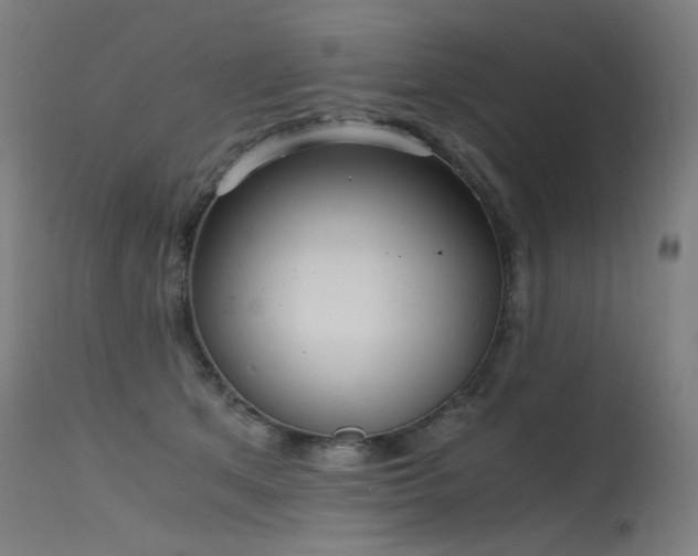 X0000115640513200911101519