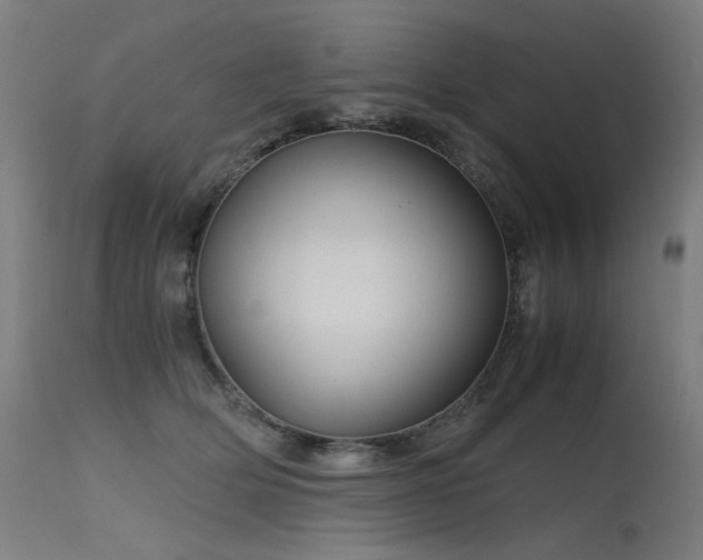 X0000115640514200911101519
