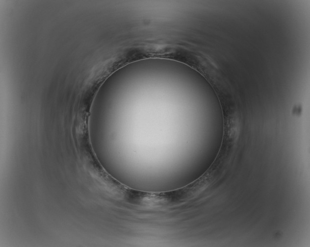 X0000115640515200911101519