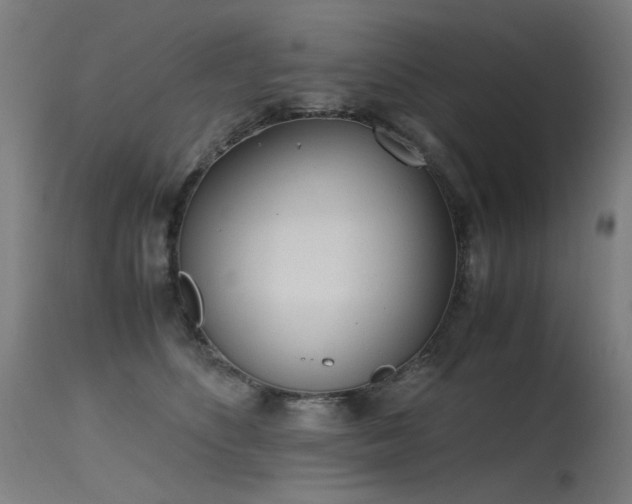 X0000115640516200911101519