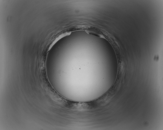 X0000115640517200911101519