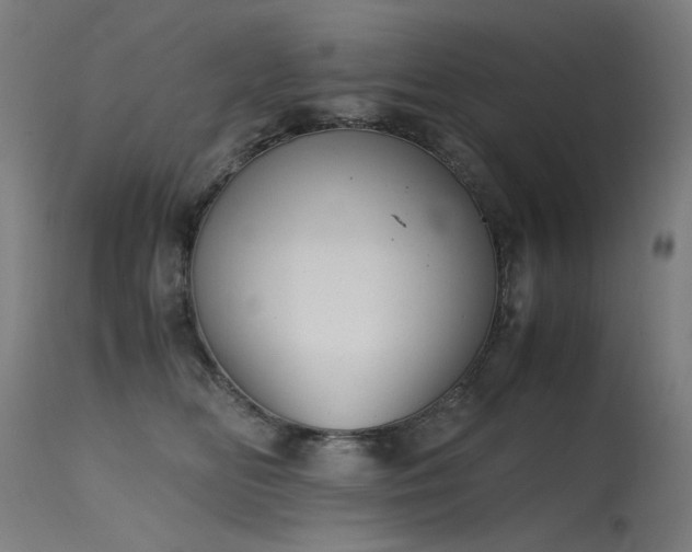 X0000115640518200911101519