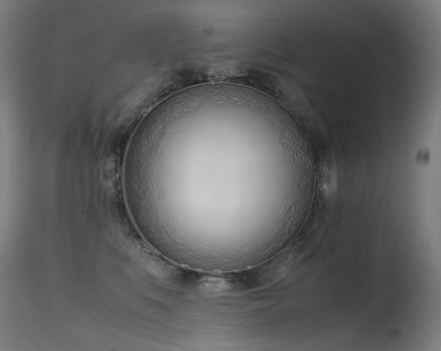 X0000115640519200911101519